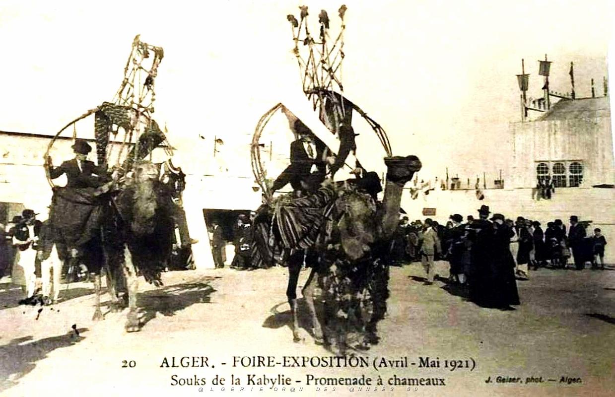 Alger - Foire-Expo de 1921 - Promenade a Chameaux.jpg